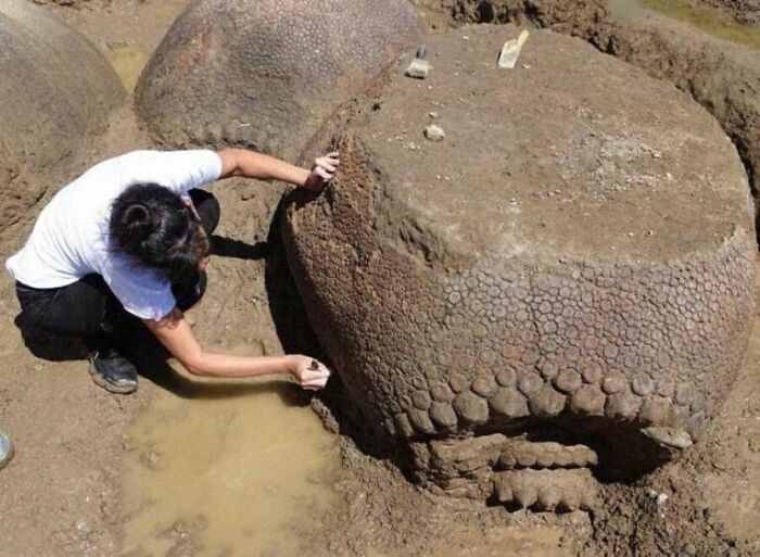 “Triceratops Femur”: 80 Amazing Photos Where Humans Show The True Scale Of Things