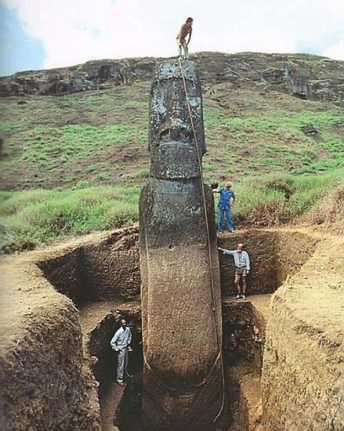 “Triceratops Femur”: 80 Amazing Photos Where Humans Show The True Scale Of Things