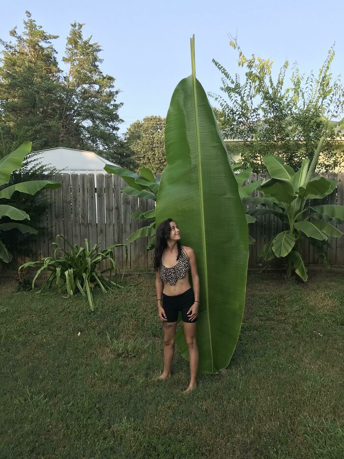 “Triceratops Femur”: 80 Amazing Photos Where Humans Show The True Scale Of Things