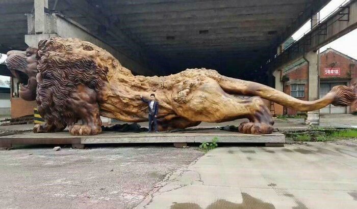 “Triceratops Femur”: 80 Amazing Photos Where Humans Show The True Scale Of Things