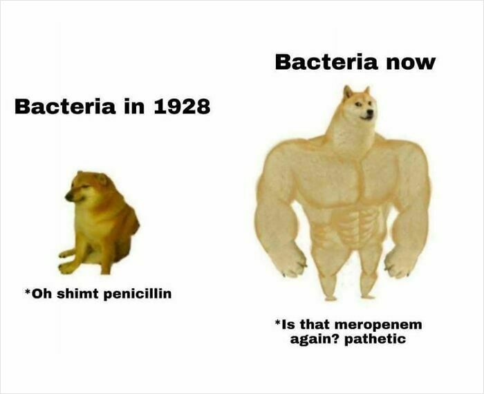 73 Funny Medical Memes That Show The Lighter Side Of Healthcare