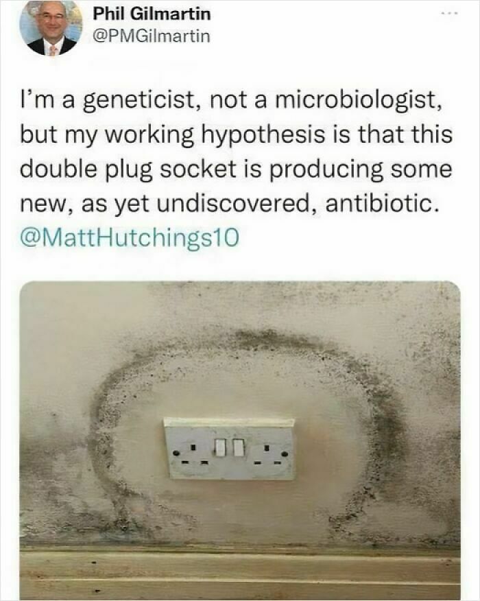73 Funny Medical Memes That Show The Lighter Side Of Healthcare