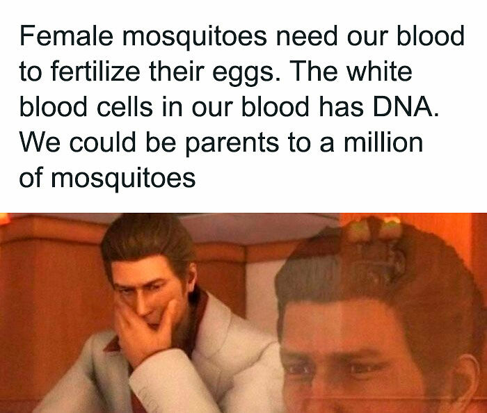 73 Funny Medical Memes That Show The Lighter Side Of Healthcare