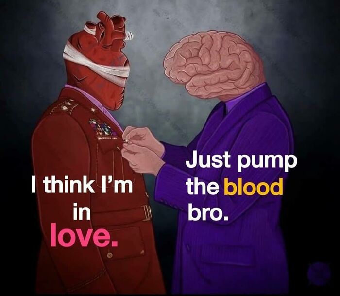 73 Funny Medical Memes That Show The Lighter Side Of Healthcare