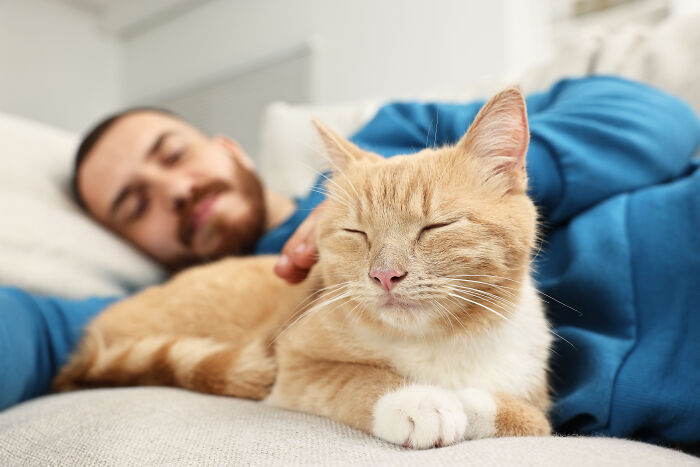69 Stories About The Most Intelligent Pets People Have Ever Had