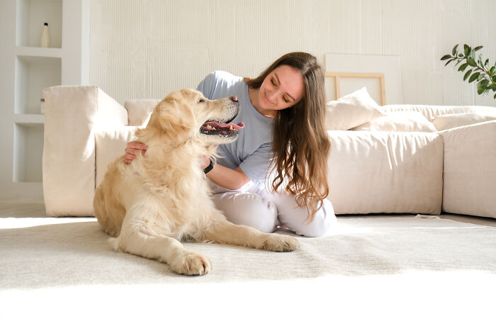 69 Stories About The Most Intelligent Pets People Have Ever Had