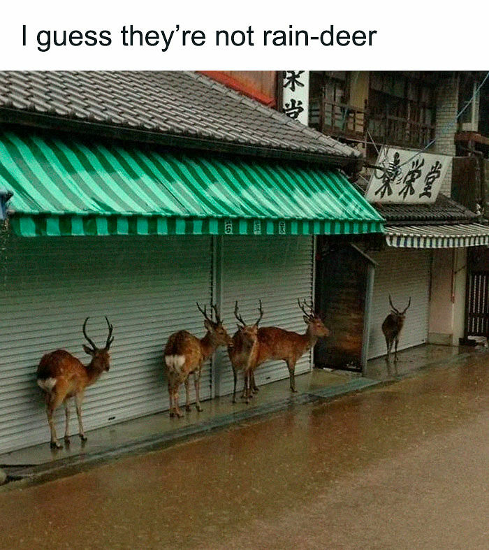 80 Dad Jokes That Are So Bad, They&#8217;re Actually Funny