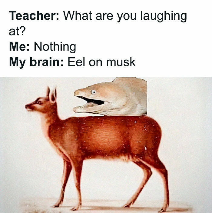 80 Dad Jokes That Are So Bad, They&#8217;re Actually Funny