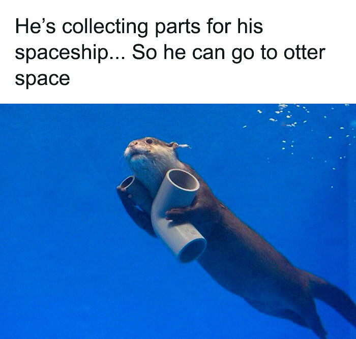 80 Dad Jokes That Are So Bad, They&#8217;re Actually Funny