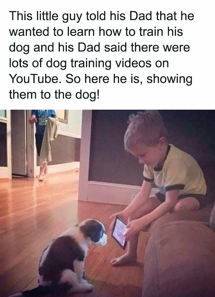80 Adorable Pet Memes That Might Melt Your Heart