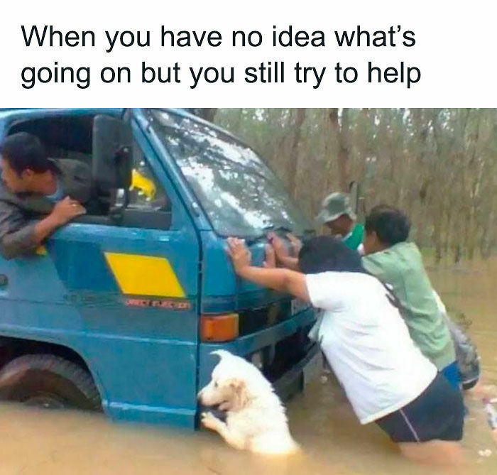 80 Adorable Pet Memes That Might Melt Your Heart