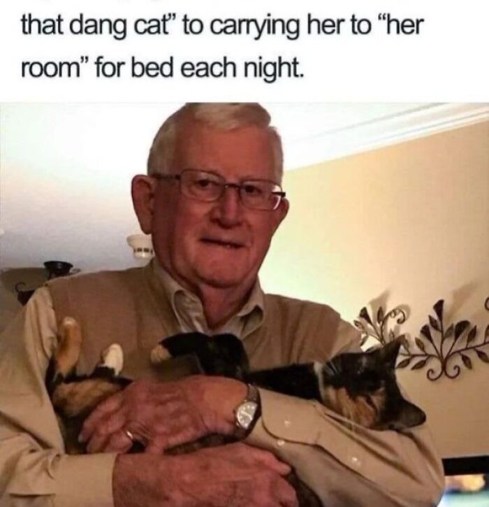 80 Adorable Pet Memes That Might Melt Your Heart