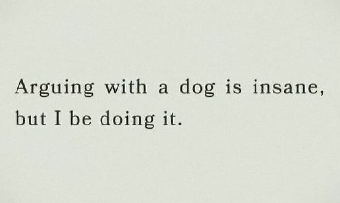80 Adorable Pet Memes That Might Melt Your Heart