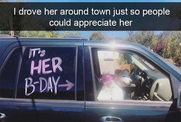 80 Adorable Pet Memes That Might Melt Your Heart