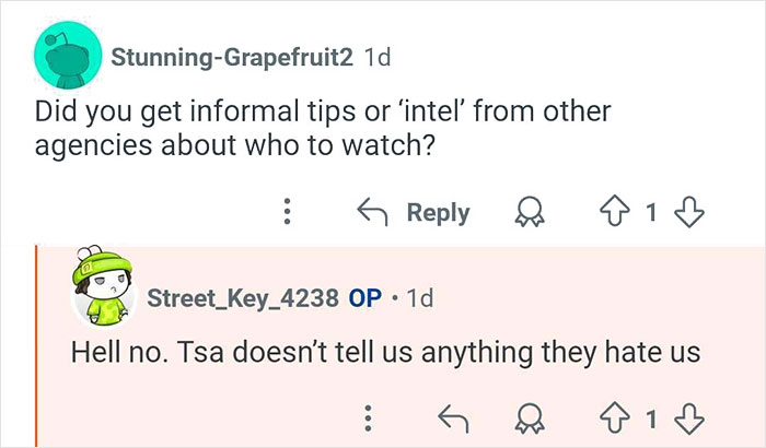 TSA Worker With 18 Years Of Experience Gets Blatantly Honest About What They’ve Seen