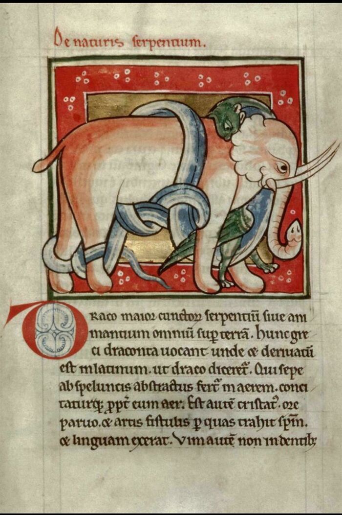 41 Pictures That Show How Complex And Colorful The Middle Ages Really Were