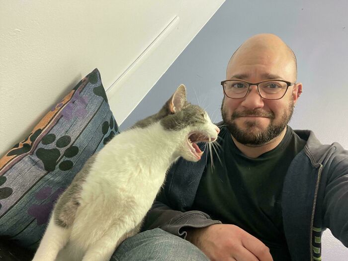 “Born To Scream!”: 93 Cats Who Couldn’t Keep Their Meows To Themselves (New Pics)