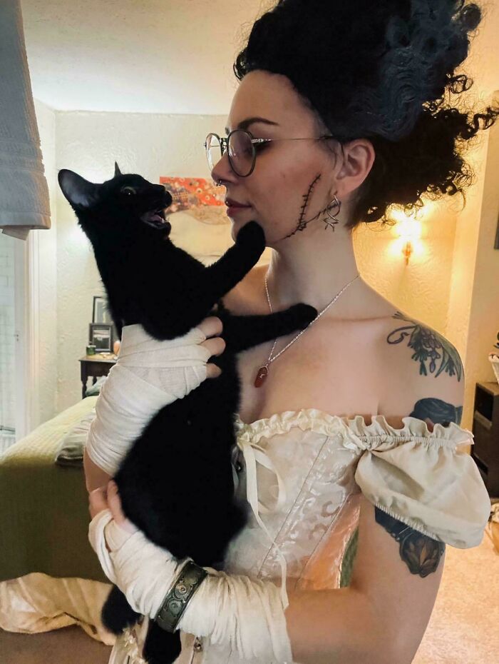 “Born To Scream!”: 93 Cats Who Couldn’t Keep Their Meows To Themselves (New Pics)