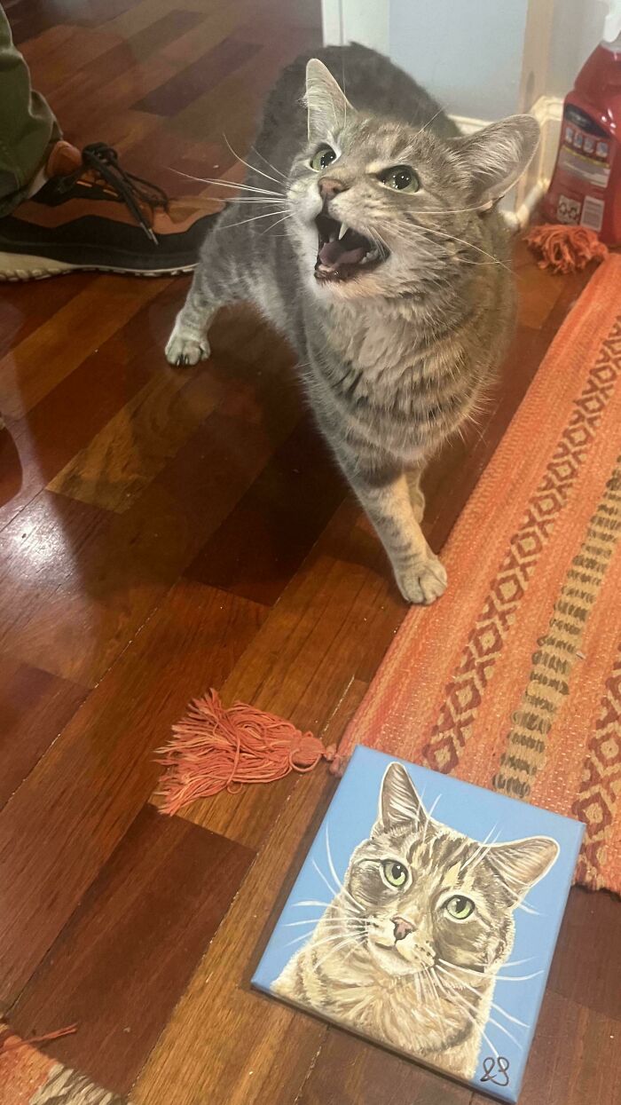 “Born To Scream!”: 93 Cats Who Couldn’t Keep Their Meows To Themselves (New Pics)