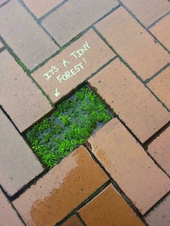 82 Beautiful And Powerful Street Art From All Over The World