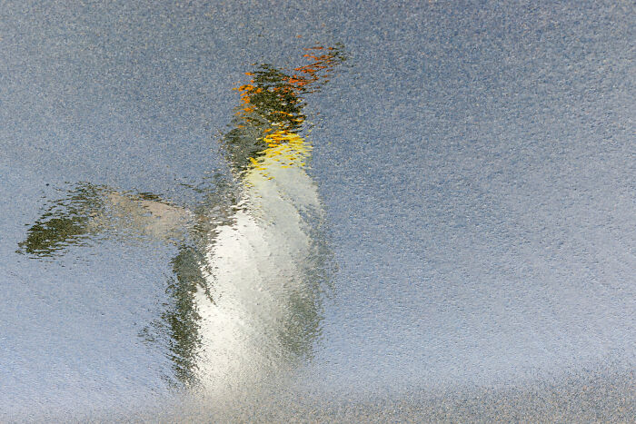 76 Stunning Images From The 2025 Ocean Photographer Of The Year Awards
