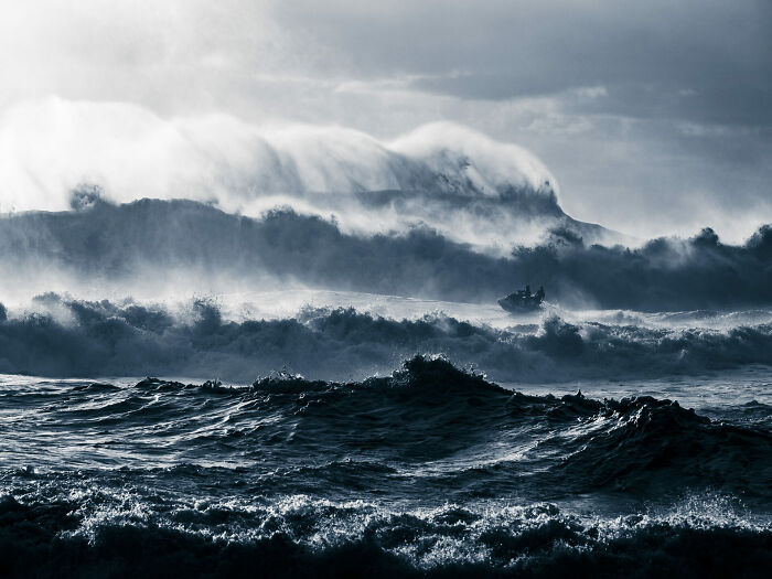 76 Stunning Images From The 2025 Ocean Photographer Of The Year Awards