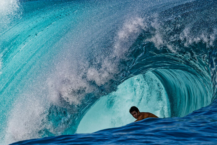 76 Stunning Images From The 2025 Ocean Photographer Of The Year Awards