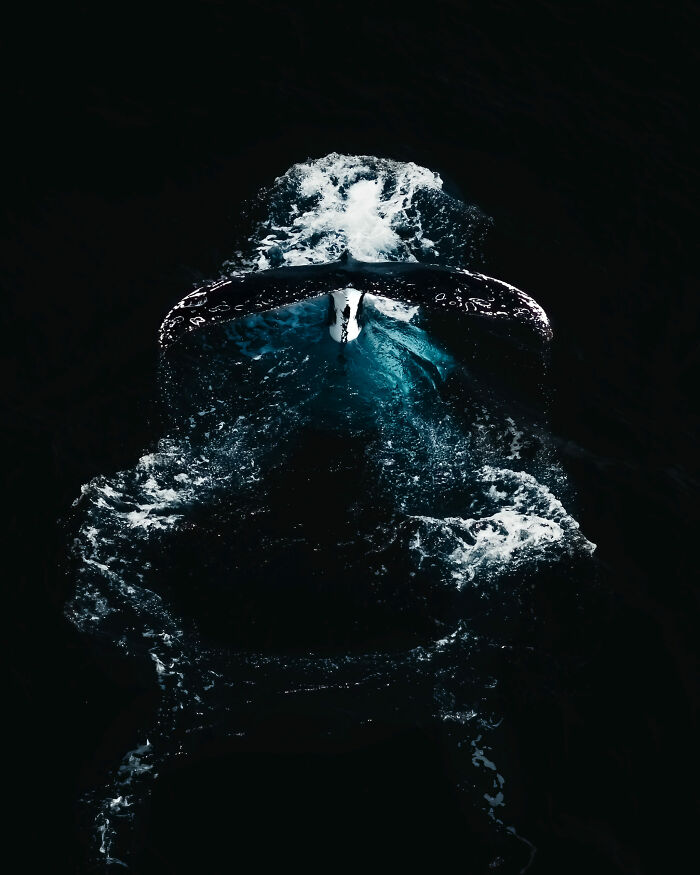 76 Stunning Images From The 2025 Ocean Photographer Of The Year Awards