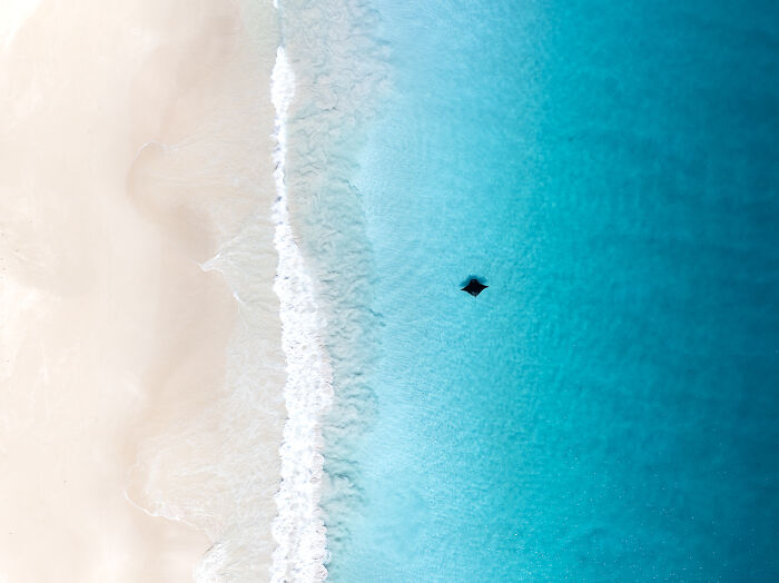 76 Stunning Images From The 2025 Ocean Photographer Of The Year Awards