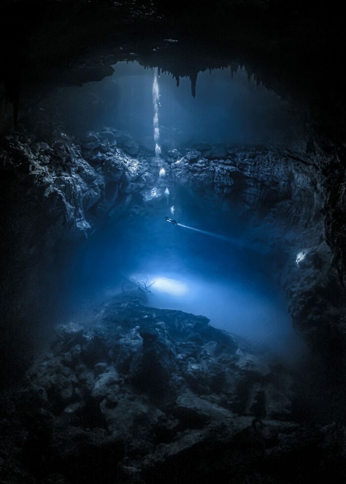 76 Stunning Images From The 2025 Ocean Photographer Of The Year Awards