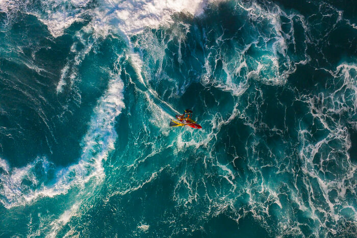 76 Stunning Images From The 2025 Ocean Photographer Of The Year Awards