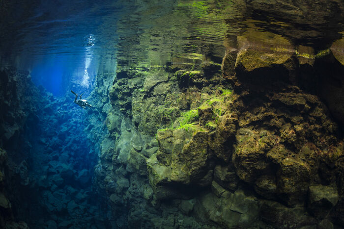 76 Stunning Images From The 2025 Ocean Photographer Of The Year Awards