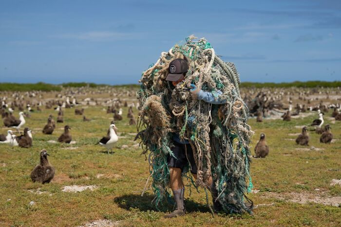 76 Stunning Images From The 2025 Ocean Photographer Of The Year Awards