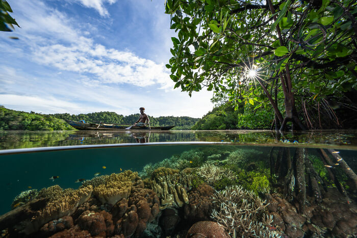 76 Stunning Images From The 2025 Ocean Photographer Of The Year Awards