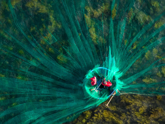 76 Stunning Images From The 2025 Ocean Photographer Of The Year Awards