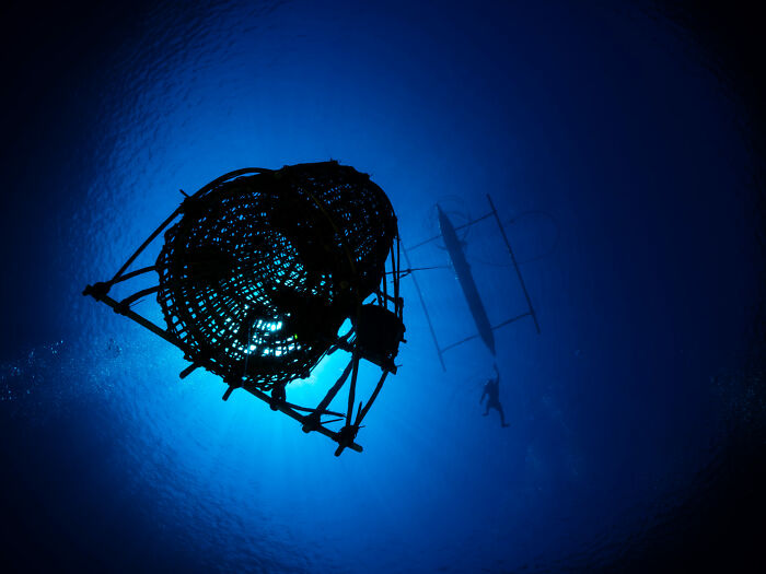 76 Stunning Images From The 2025 Ocean Photographer Of The Year Awards
