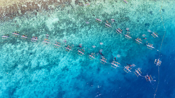 76 Stunning Images From The 2025 Ocean Photographer Of The Year Awards
