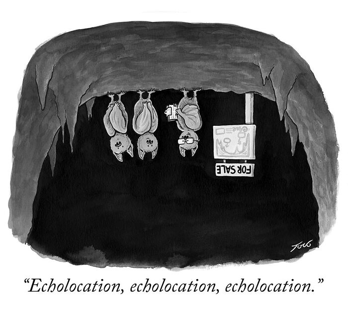 29 Quirky And Clever One-Panel Comics By New Yorker Cartoonist Tom Toro (New Pics)
