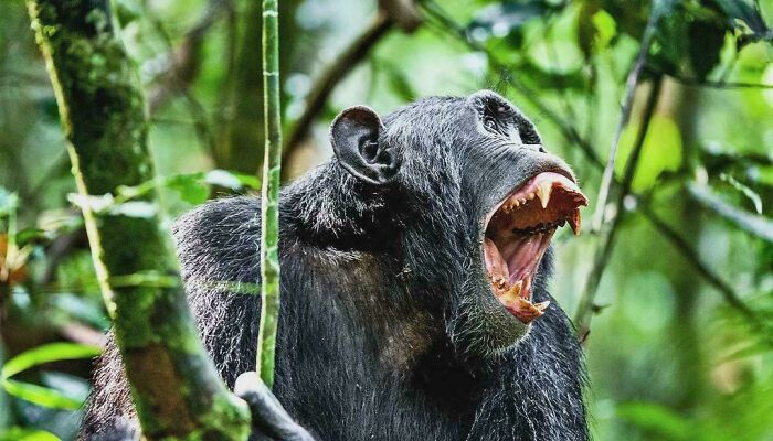 &#8220;Still Remains Undiscovered To This Day&#8221;: 97 Fascinating Facts That Never Stop Surprising