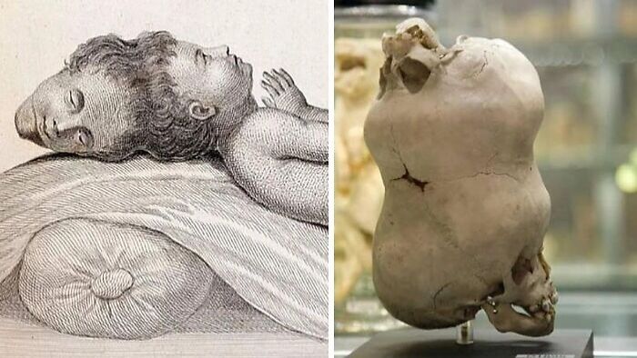 &#8220;Still Remains Undiscovered To This Day&#8221;: 97 Fascinating Facts That Never Stop Surprising