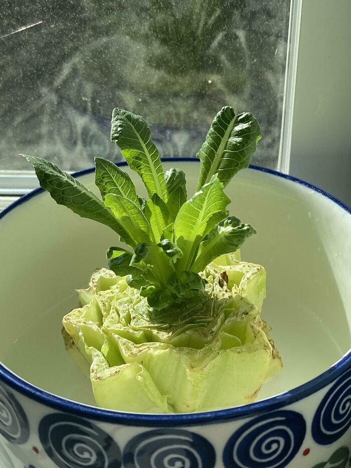 112 &#8220;Simple Living&#8221; Posts To Make You Appreciate Having Less