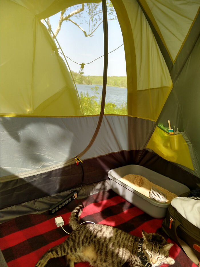 112 &#8220;Simple Living&#8221; Posts To Make You Appreciate Having Less