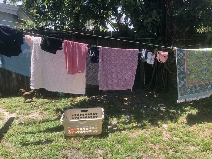 112 &#8220;Simple Living&#8221; Posts To Make You Appreciate Having Less
