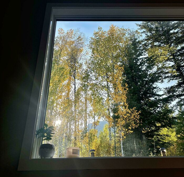112 &#8220;Simple Living&#8221; Posts To Make You Appreciate Having Less