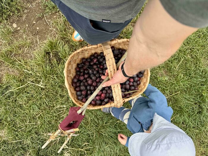 112 &#8220;Simple Living&#8221; Posts To Make You Appreciate Having Less
