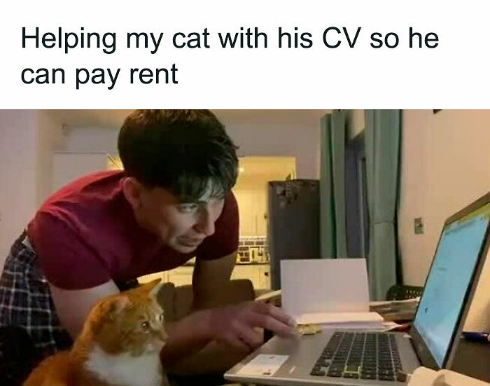 77 Cute And Funny Cat Memes To Look At Instead Of Dealing With Your Problems
