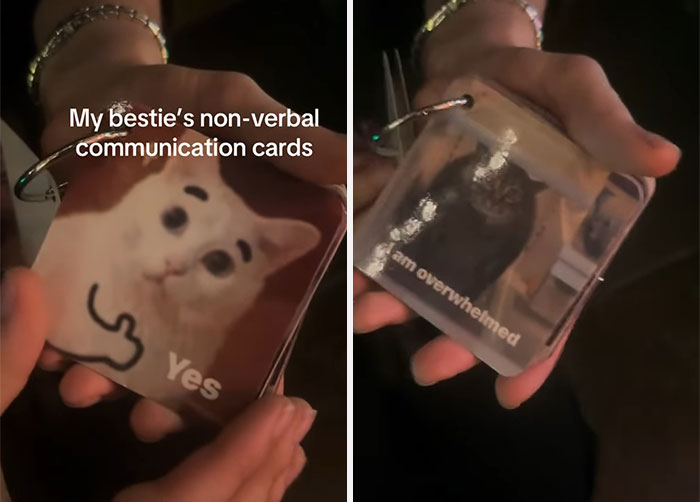 77 Cute And Funny Cat Memes To Look At Instead Of Dealing With Your Problems