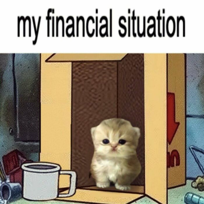 77 Cute And Funny Cat Memes To Look At Instead Of Dealing With Your Problems