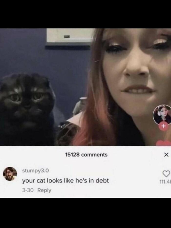 77 Cute And Funny Cat Memes To Look At Instead Of Dealing With Your Problems