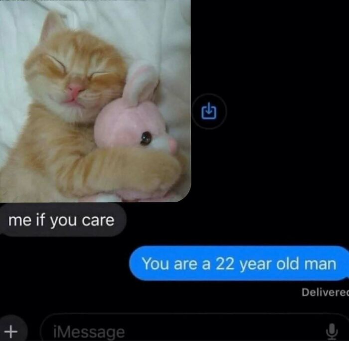 77 Cute And Funny Cat Memes To Look At Instead Of Dealing With Your Problems